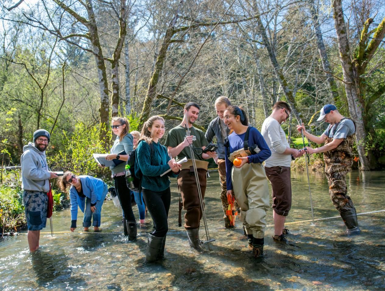 School of Engineering