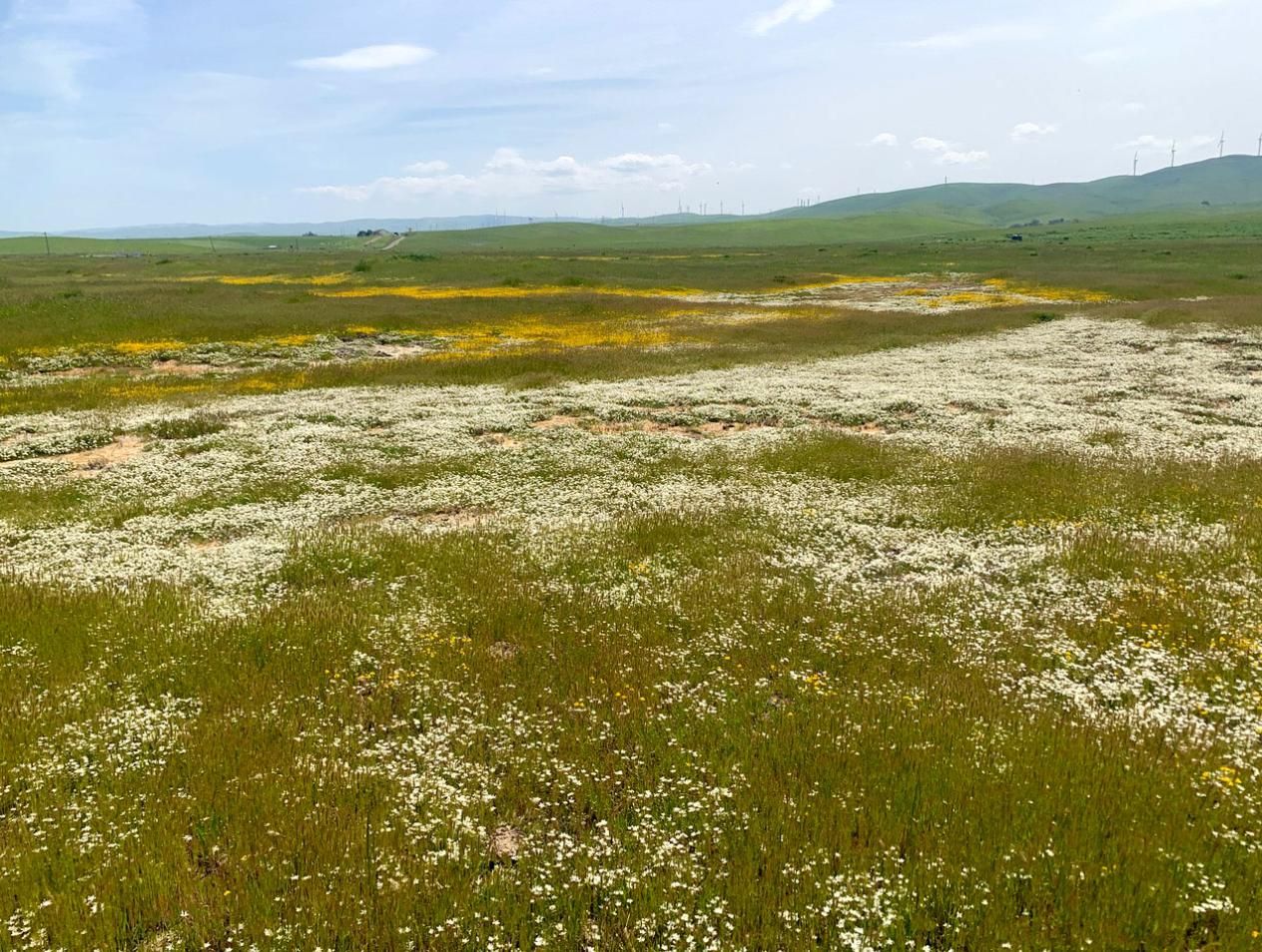 California Rangeland Education (CRED) Courses