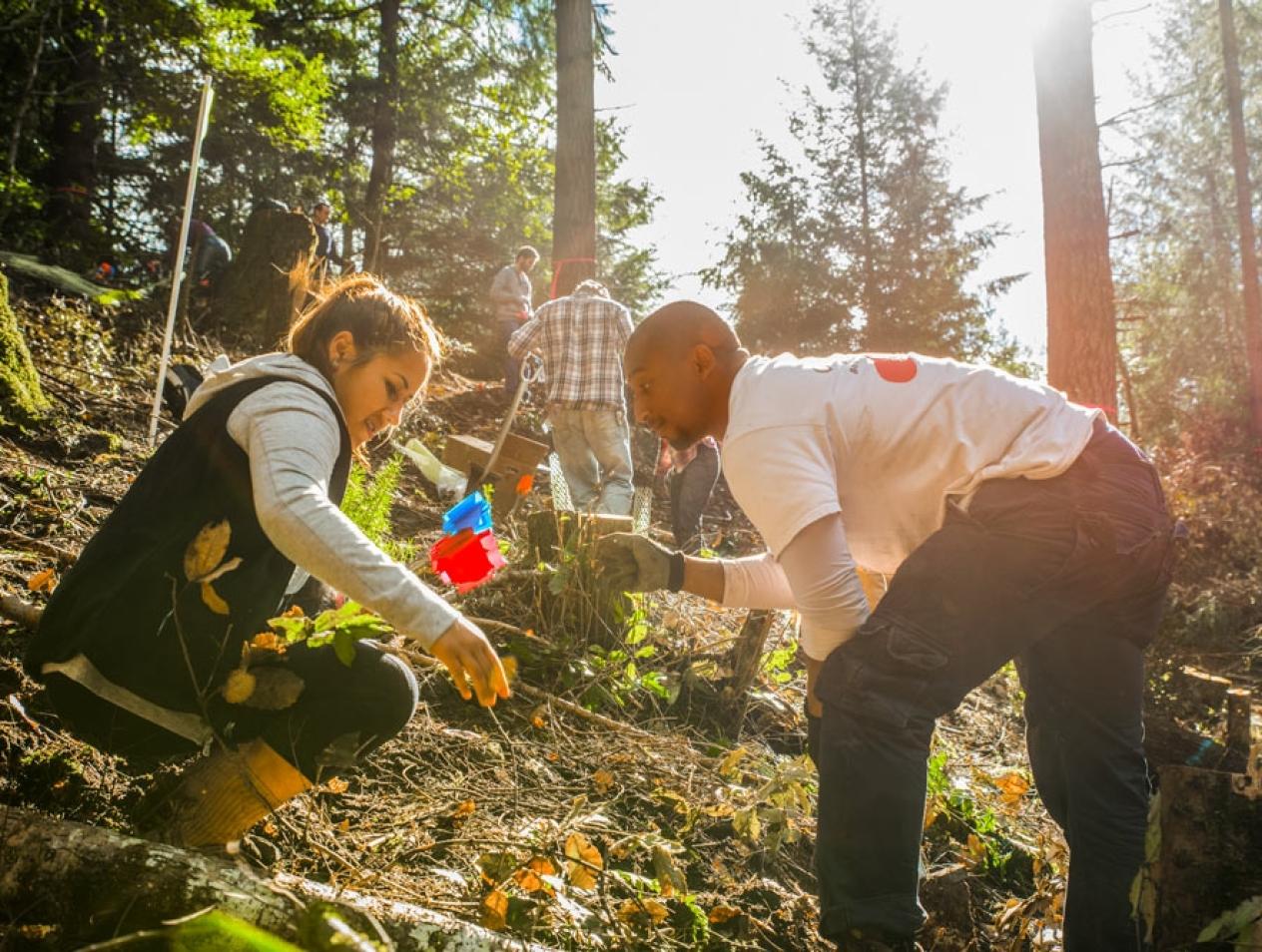 Forestry, Fire & Rangeland Management