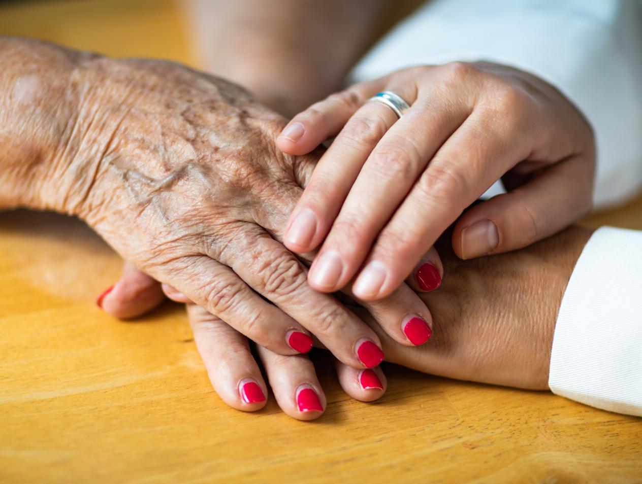 Apply to the Gerontology Program