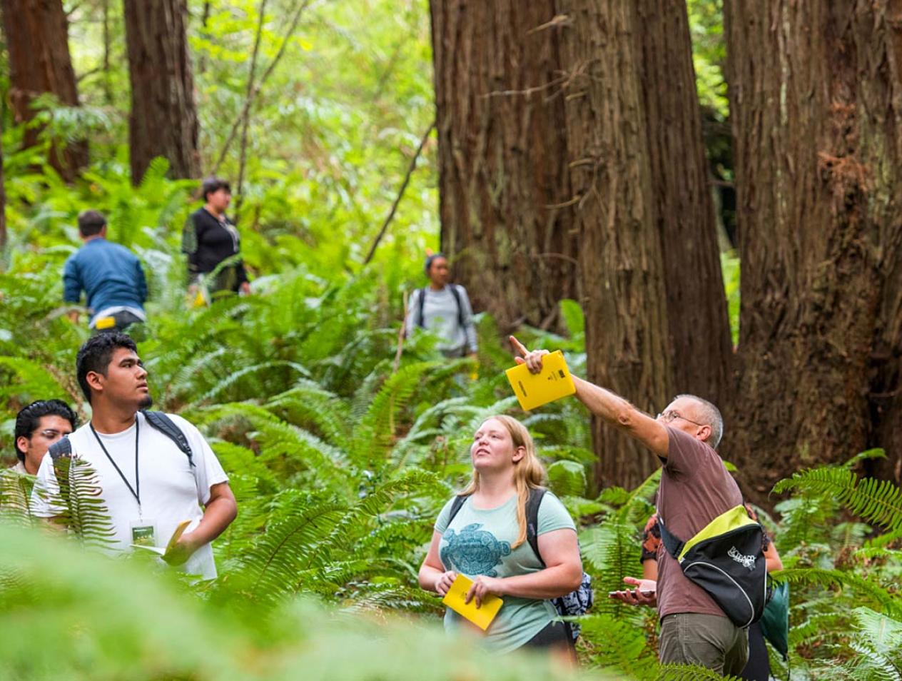 Cal Poly Humboldt Foundation