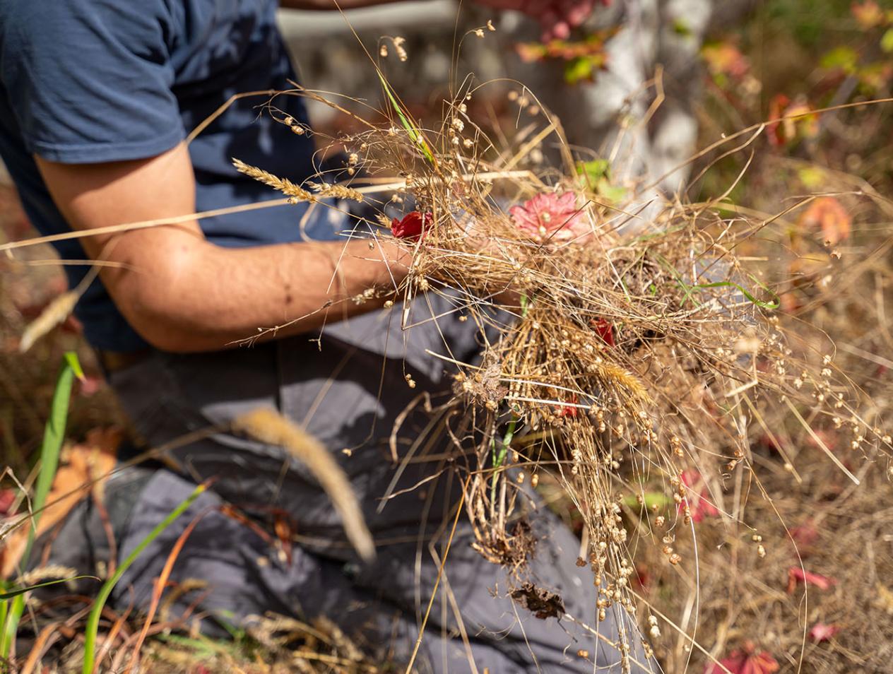 Traditional Ecological Knowledge (TEK)