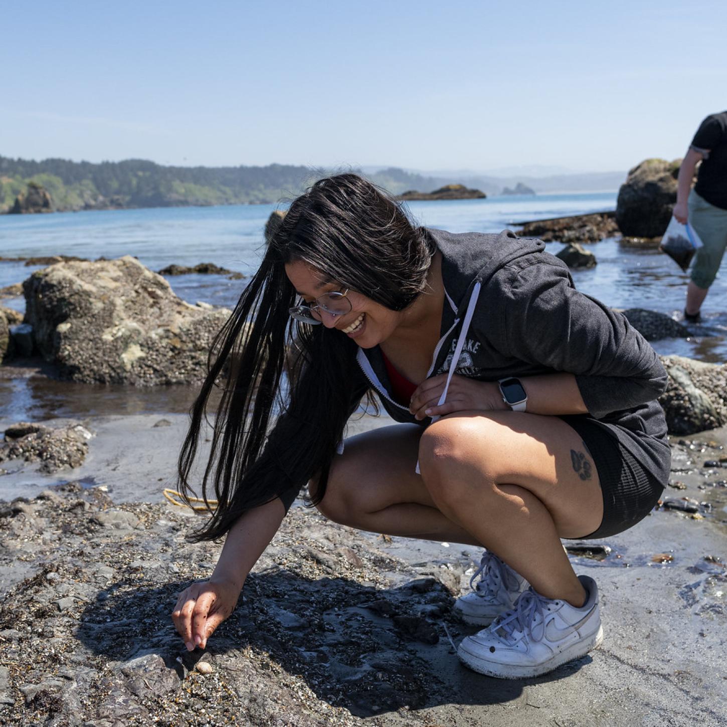 Students conducting tidepool research