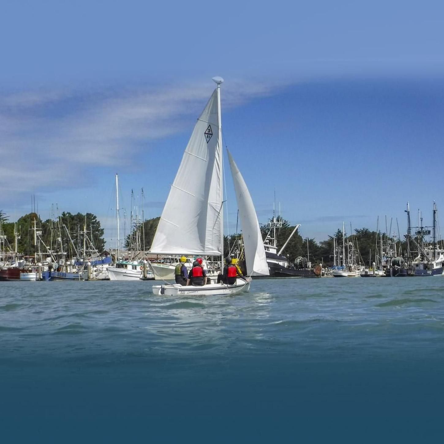 A small white sailboat with two sails, sailing across the waters of Humboldt Bay.