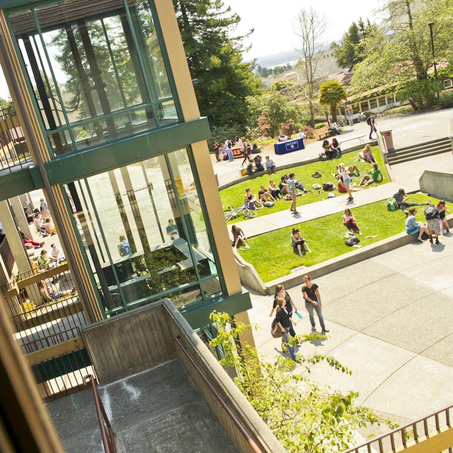 Looking down at the University Quad