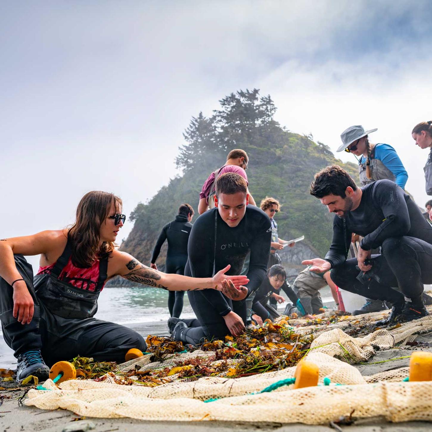 Fisheries students working on the beach