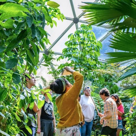 Students in the botany greenhouses