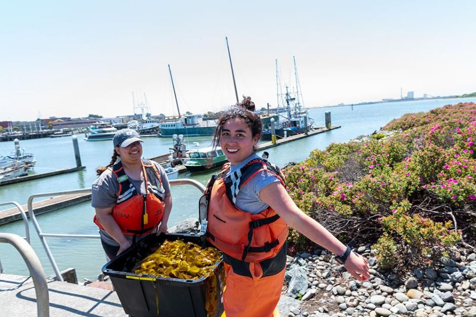 Students unload the fruits of a harvest from Humboldt's commercial, open-water seaweed farm.