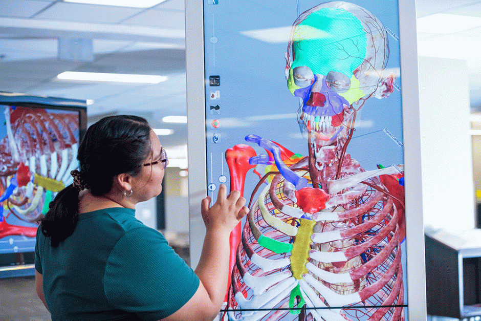 healthcare career pathway program