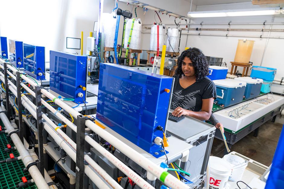 Juhi LaFuente studies krill in the Telonicher Marine Lab