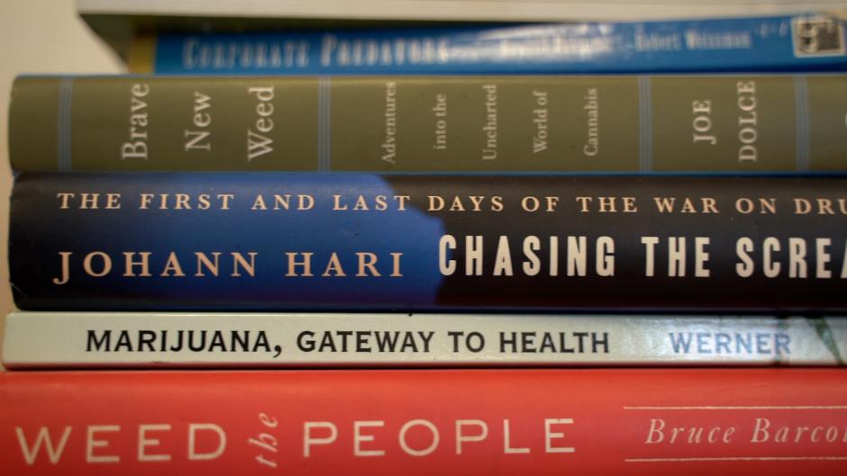 The Cannabis Studies degree prepares students to think critically about the past, present, and future of cannabis policy.