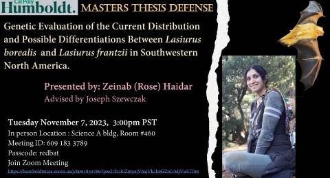haidar_rose poster