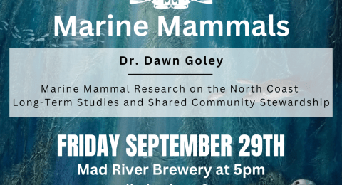 Science on Tap