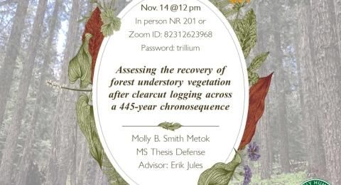 rose_harman_thesis_defense_flyer