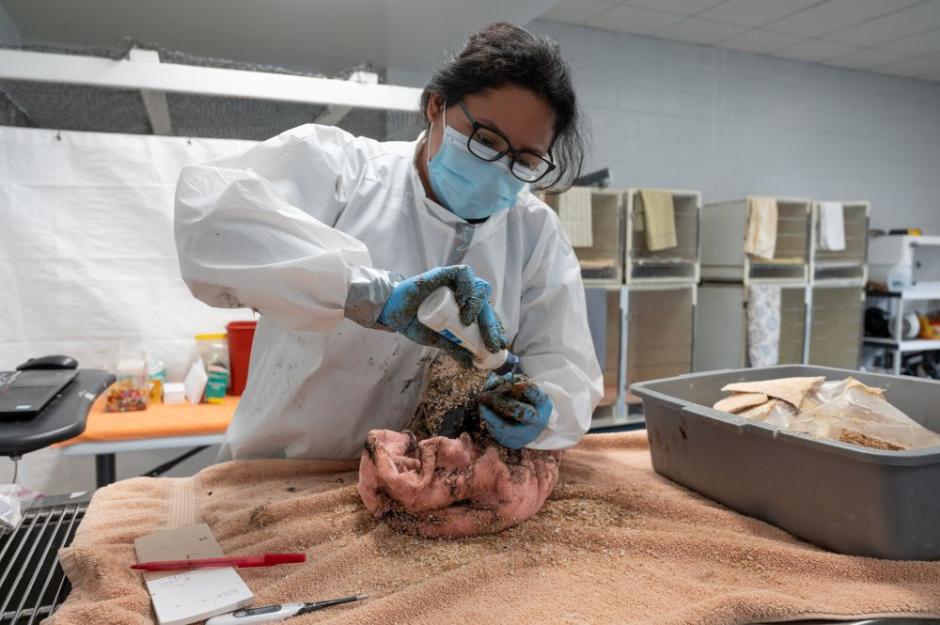 A photo of Jennifer Martines cleaning a bird at the Internation Bird Rescue A photo of Jennifer Martines cleaning a bird at the Internation Bird Rescue