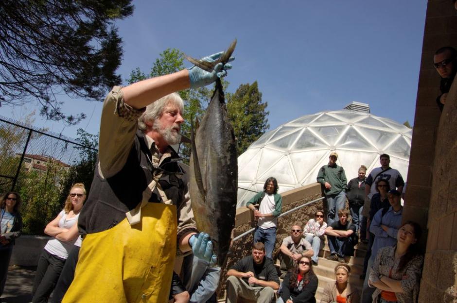 A photo of Fisheries Biology Professor Terry Roelofs holding a tuna fish during a fisheries class. A photo of Fisheries Biology Professor Terry Roelofs holding a tuna fish during a fisheries class.