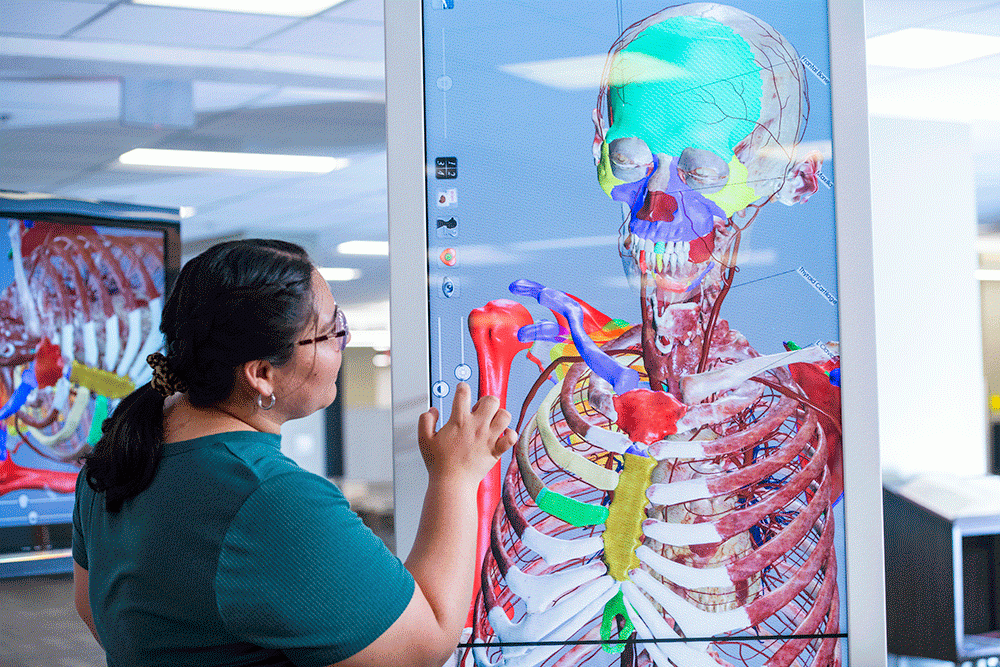 healthcare career pathway program
