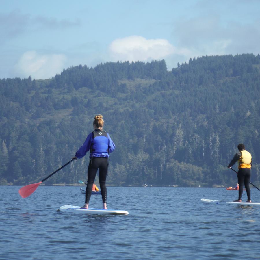 Two paddle boarders on a body of water facing away from the viewer. They are paddling towards a forested hillside in the background with white puffy clouds in the sky behind it
