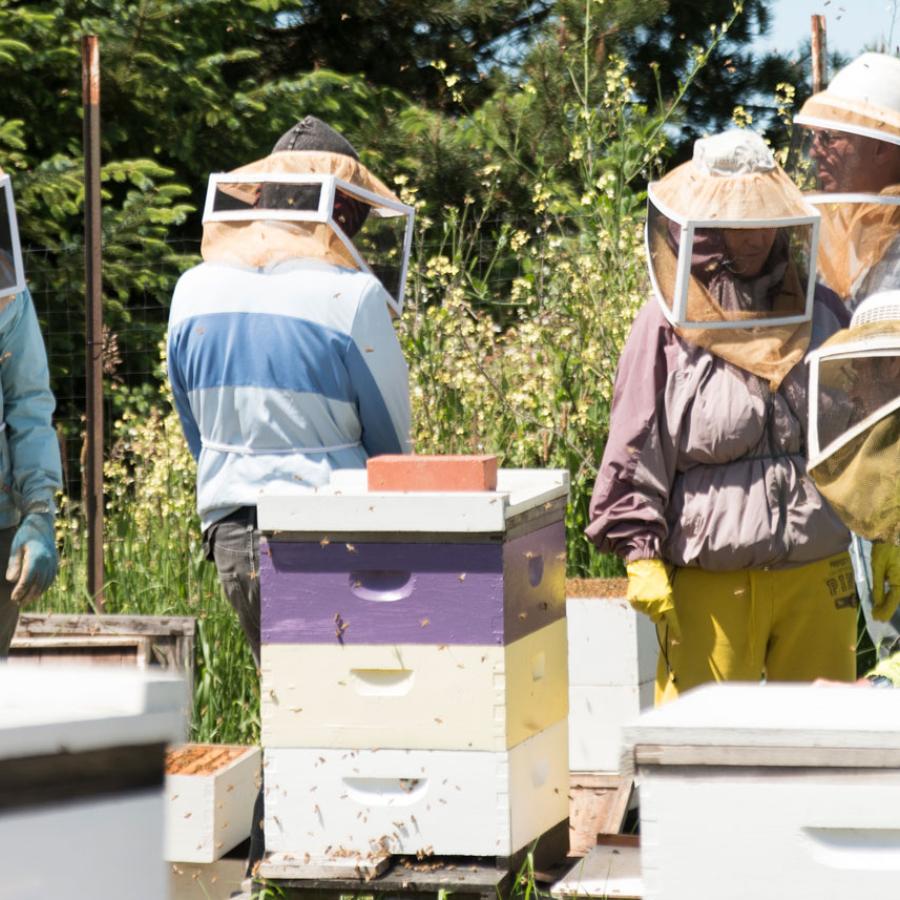 Group of beekeeping students in a bee yard