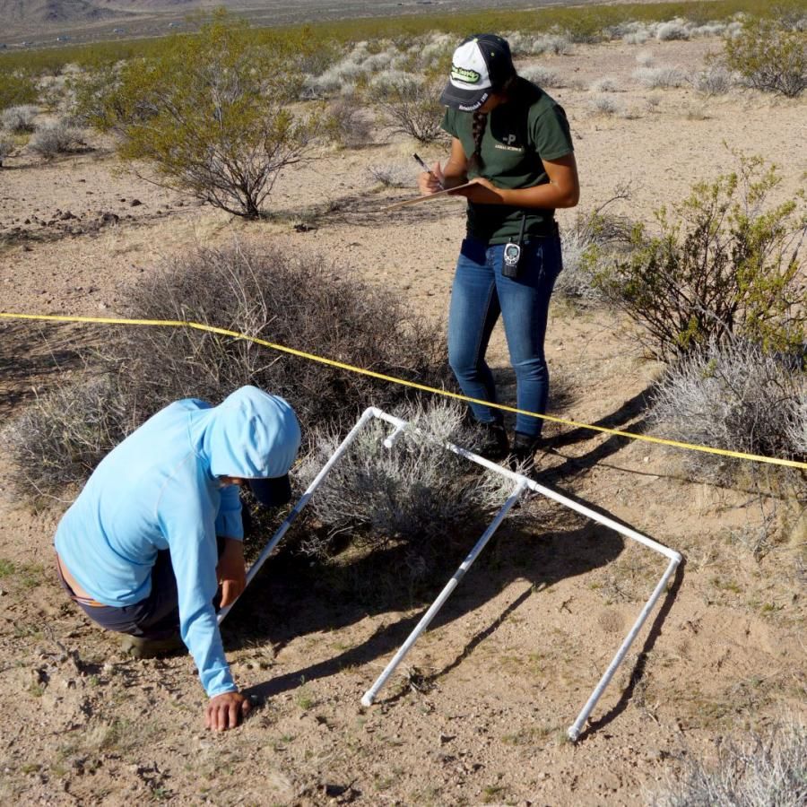 Two students using measuring tools