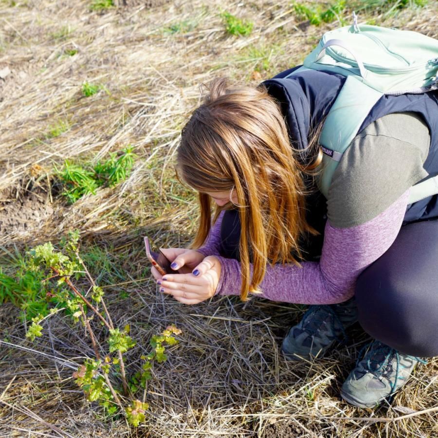 Student photographing a plant