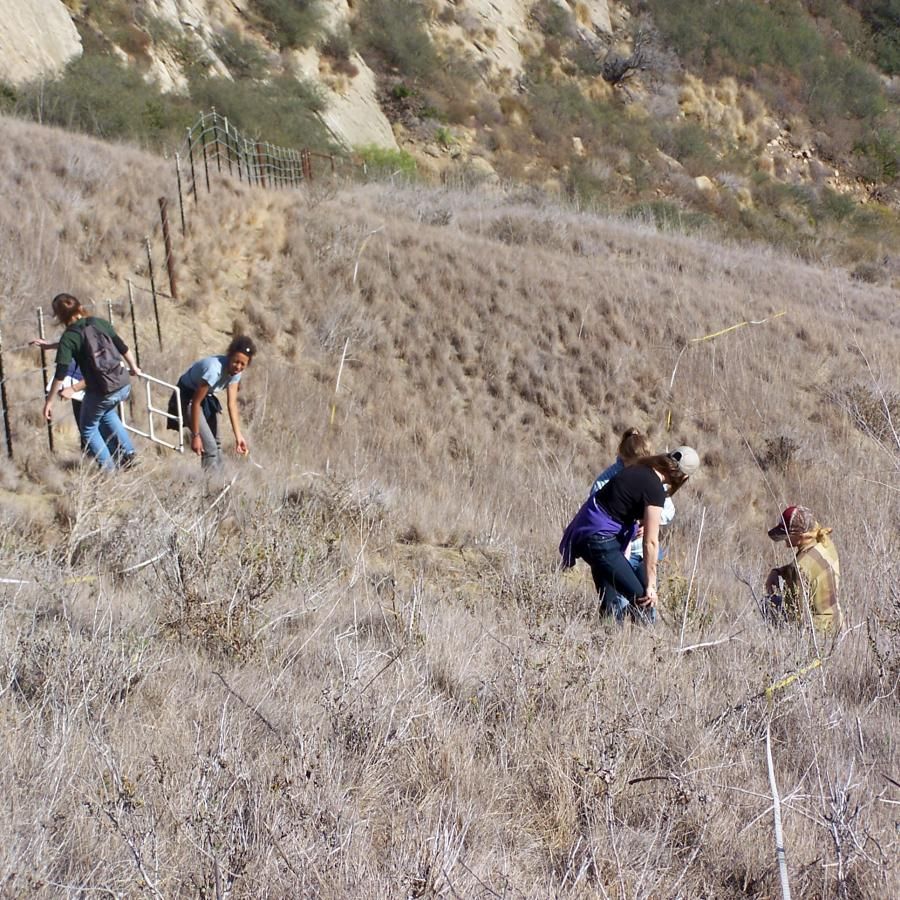 Students working near fence on hillside grasslands