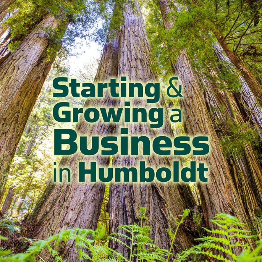 Starting and Growing a Business in Humboldt [image of redwood forest]