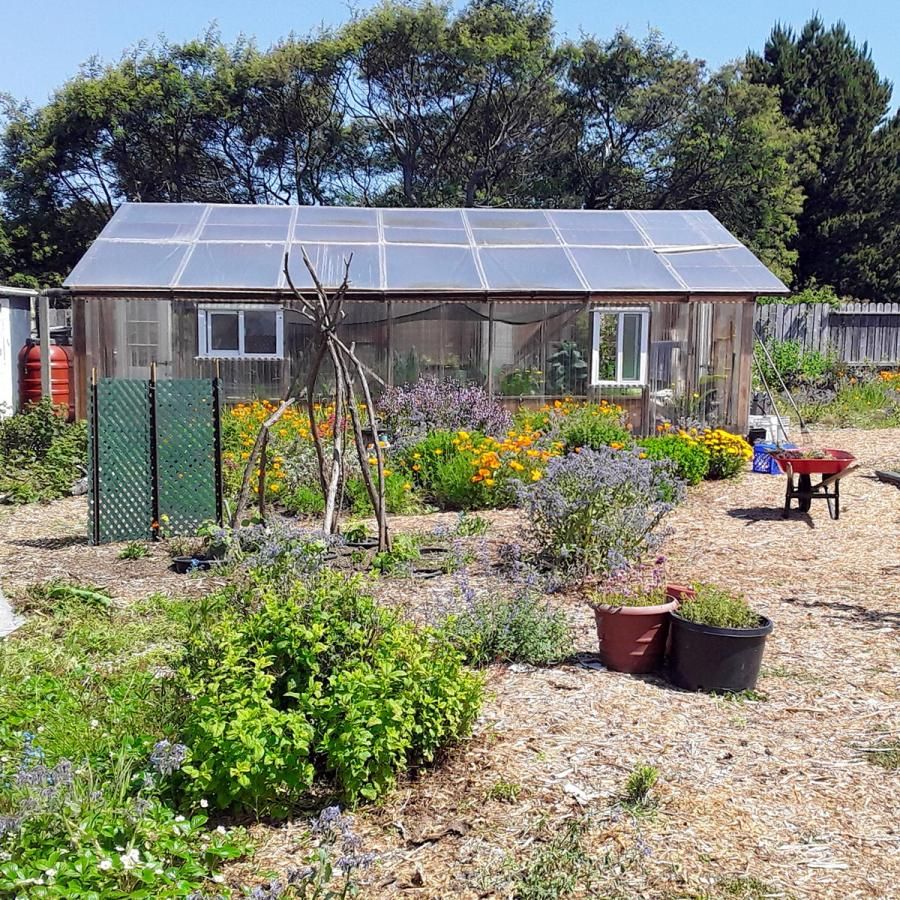 Instructor's greenhouse and vegetable plantings