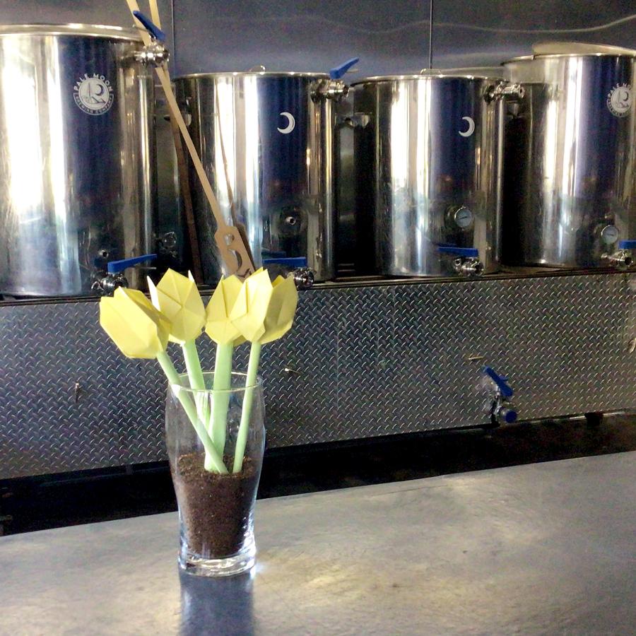 Beer glass