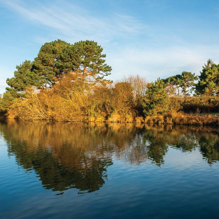 Arcata Marsh