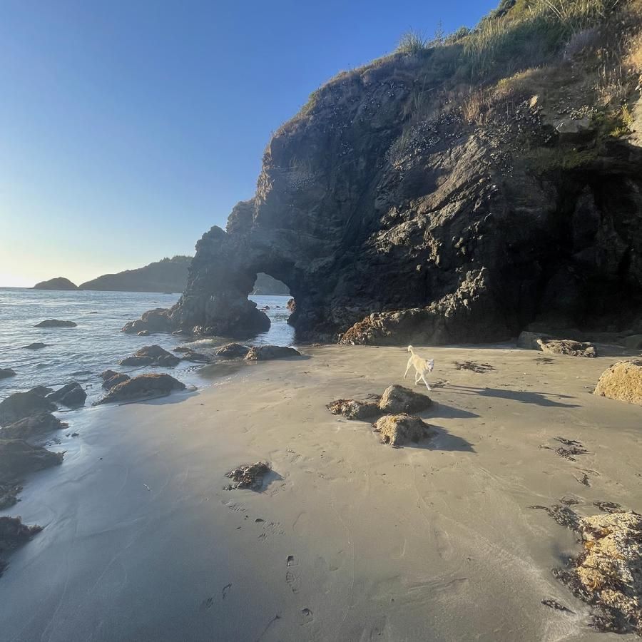 Humboldt County beach view