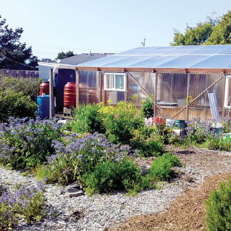Greenhouse and garden