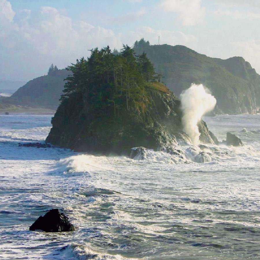 Trinidad, California coastline