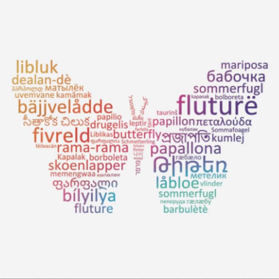 Butterfly made up of words in different languages, from the cover of the book, World Languages