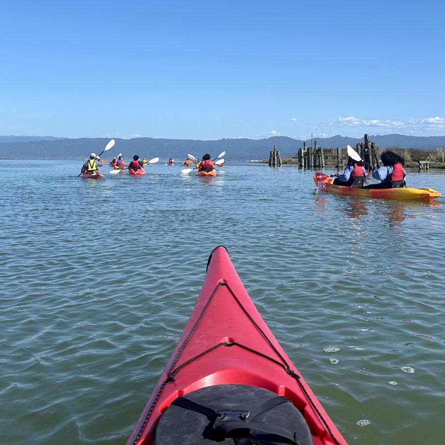 View from a kayak of Humboldt Bay