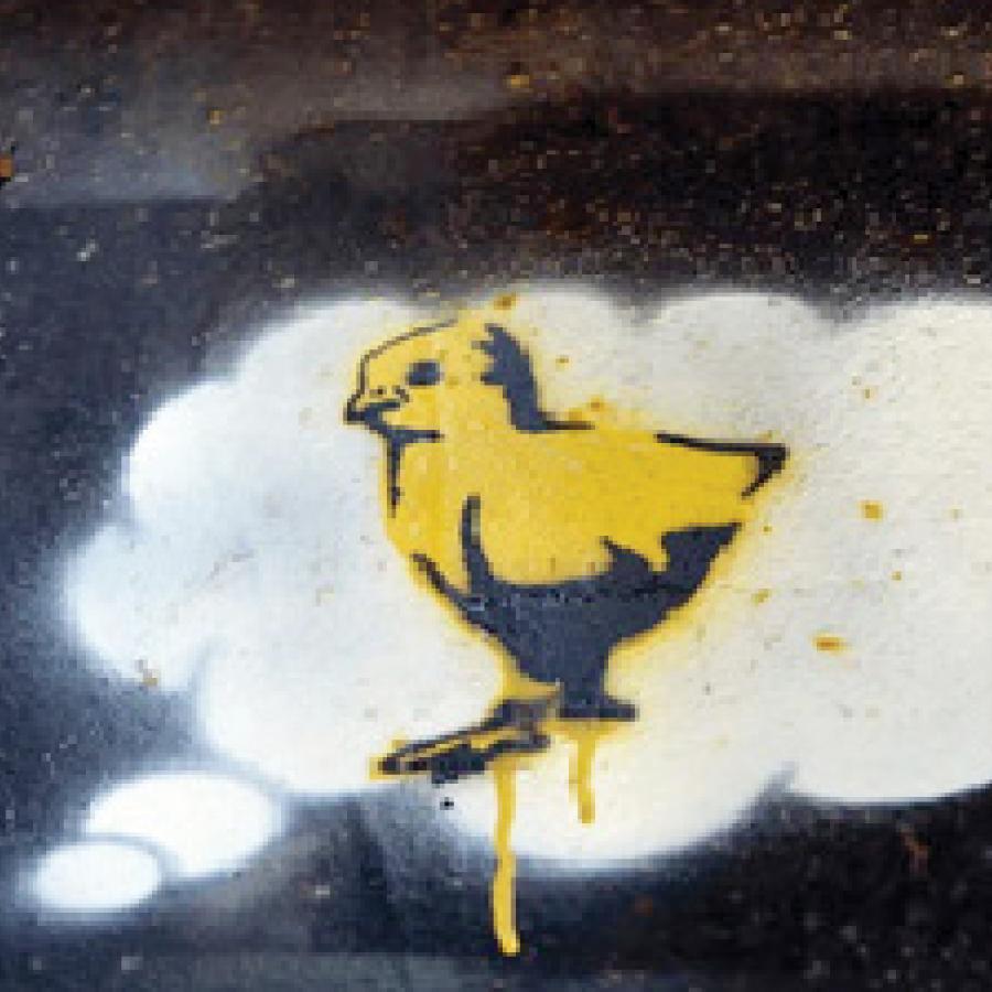 spraypainted thought bubble containing a yellow baby chick