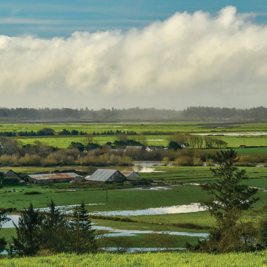 Humboldt Bay bottoms view