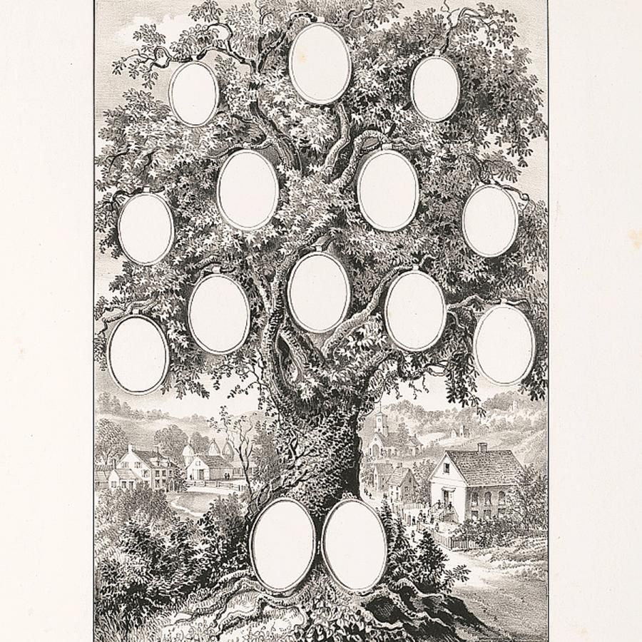 vintage illustration of a family tree