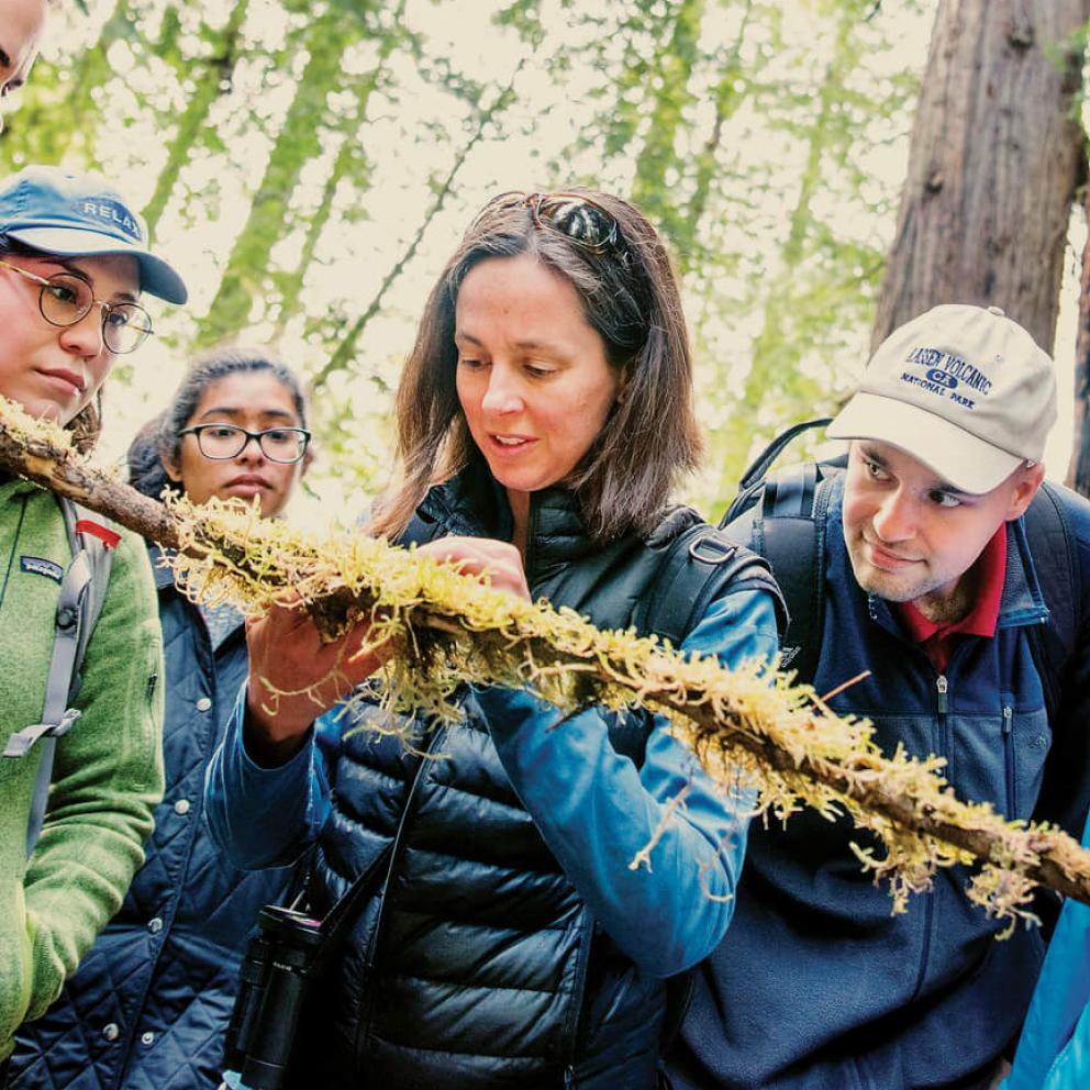 Professor in forest