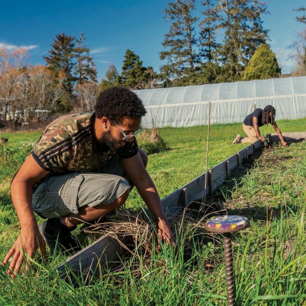 Food sovereignty lab