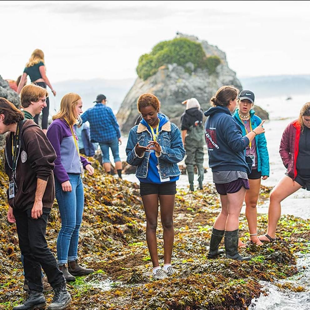 Students at tidepool