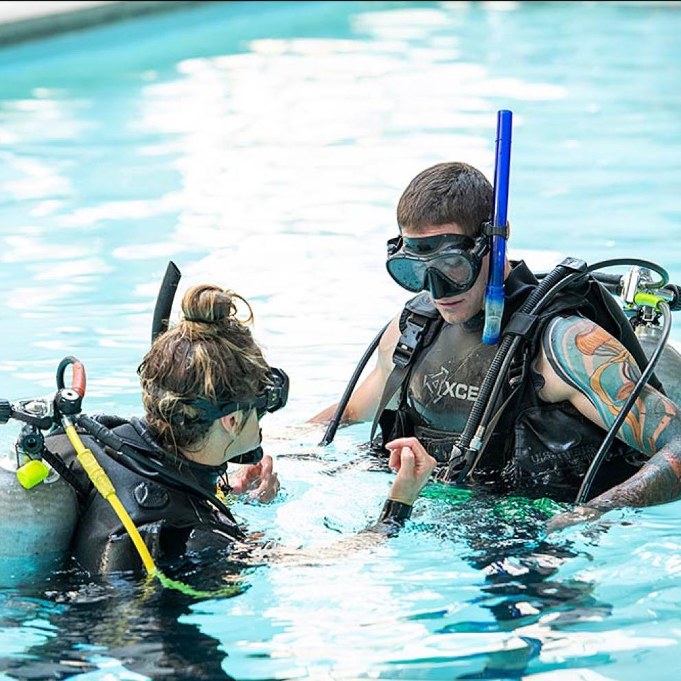 Diving training in the pool