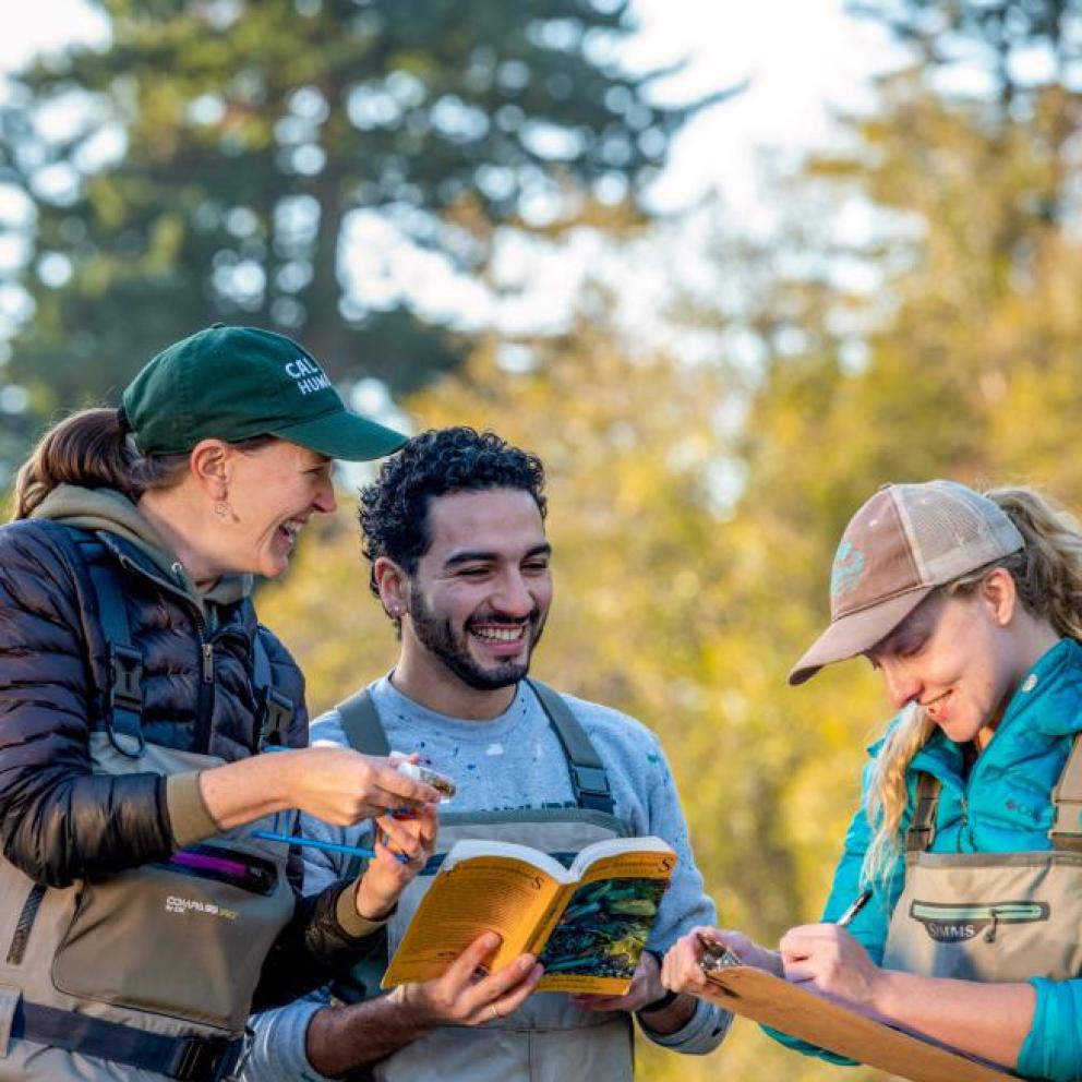 students working in the field