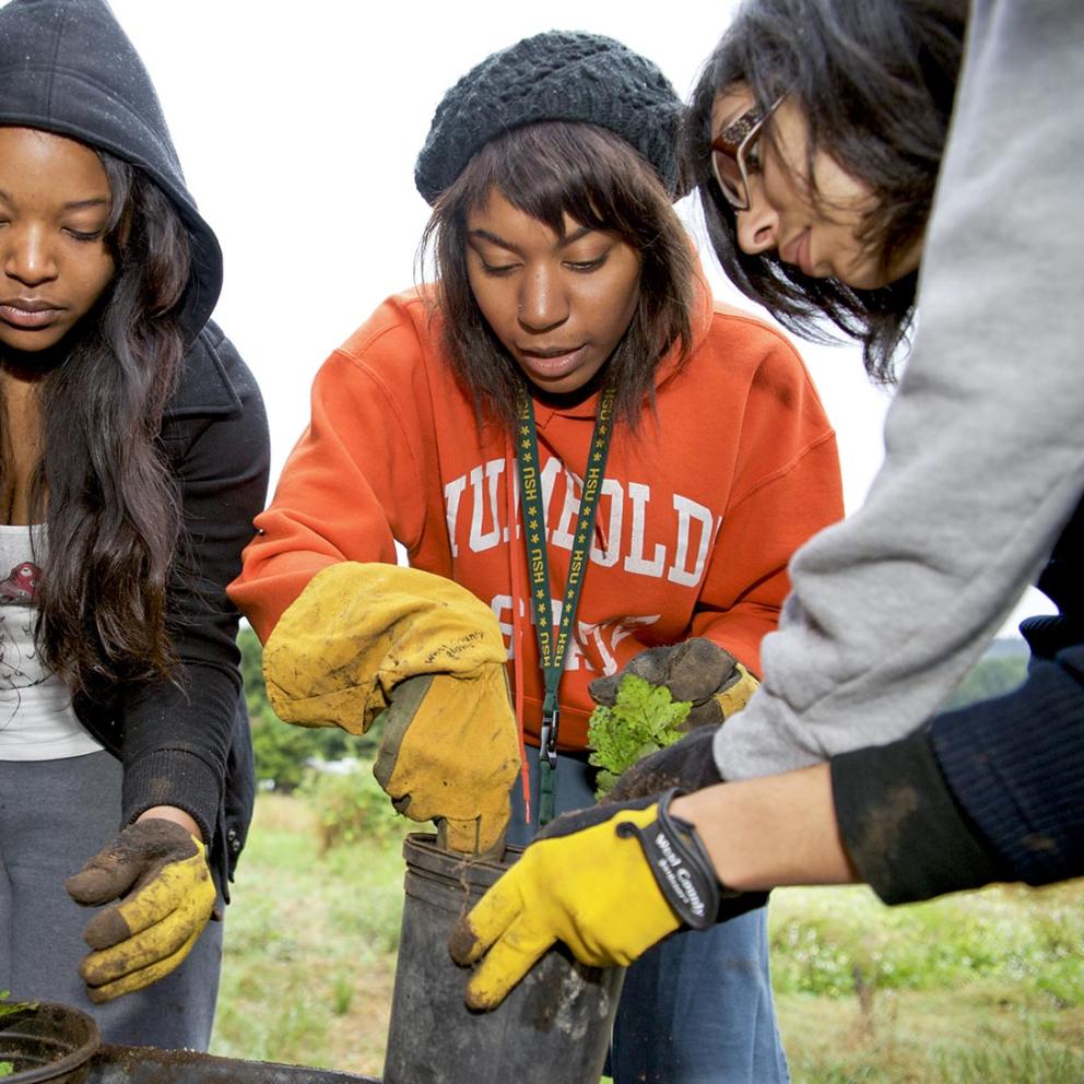 Students outside working with plants