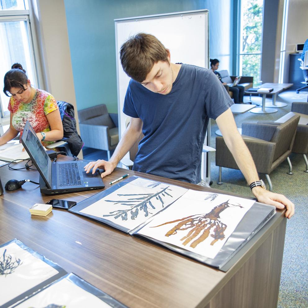 student studying plants in a botany class