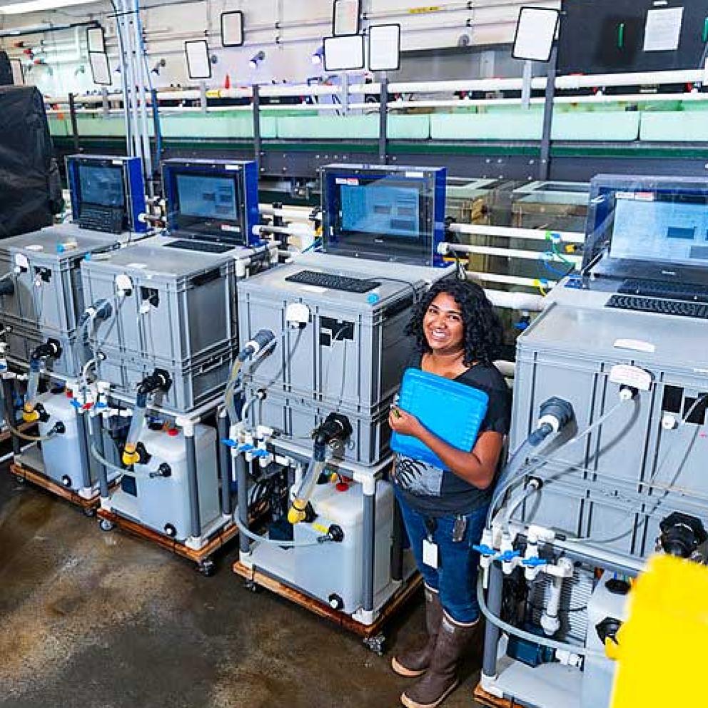 Student in the Marine Lab