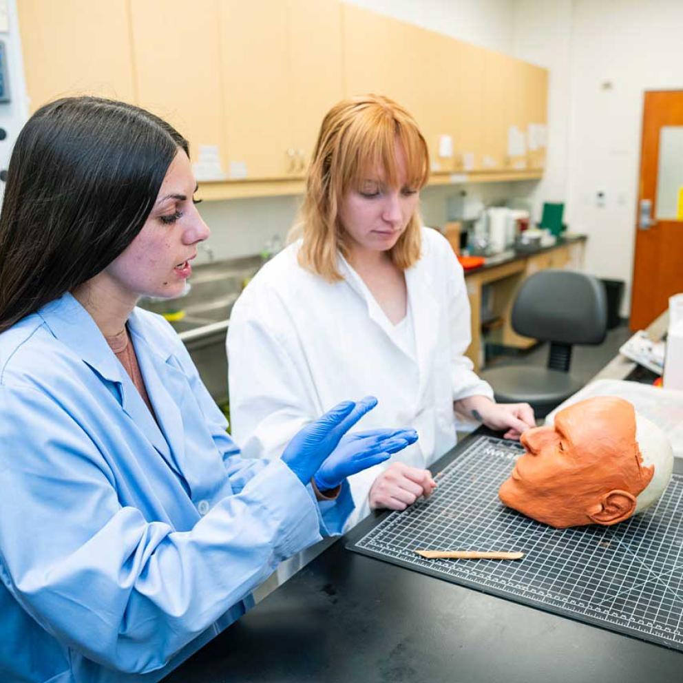 Anthropology students working in a lab