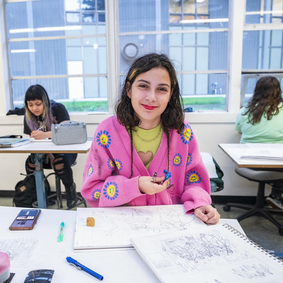 Art Illustration Student