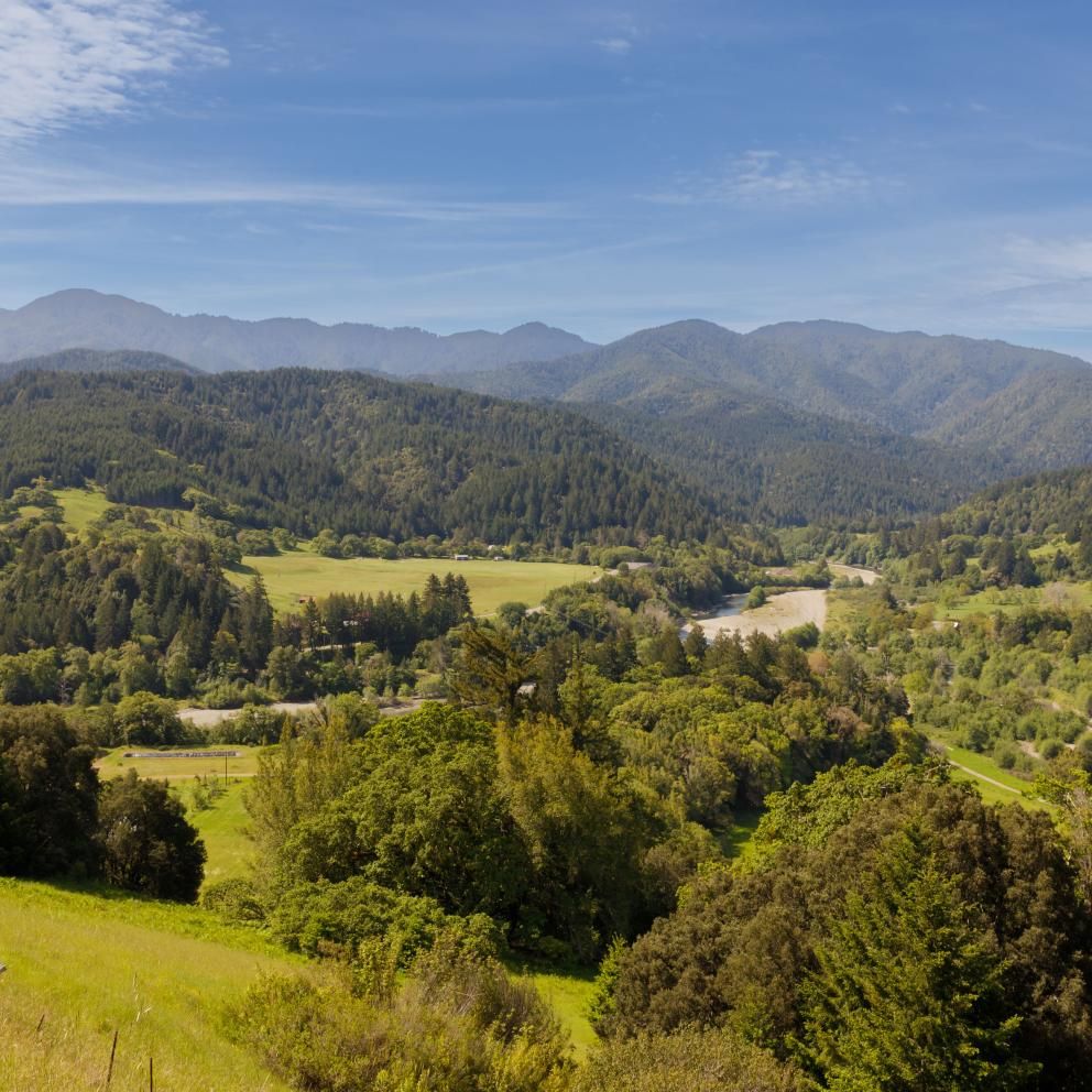 The California Center for Rural Policy - Redwood Region RISE - Regional Roadmap