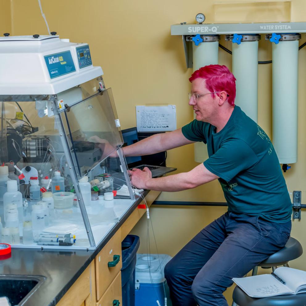 a pink haired student working in a professional setting